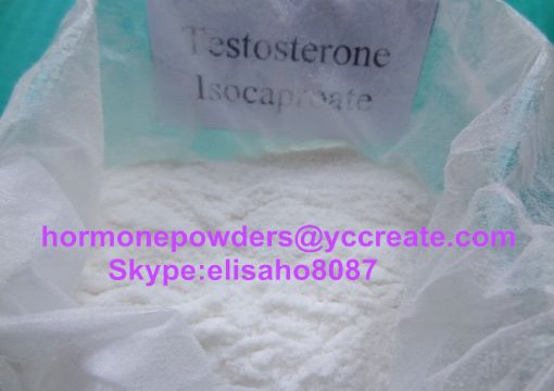 Testosterone Isocaproate 